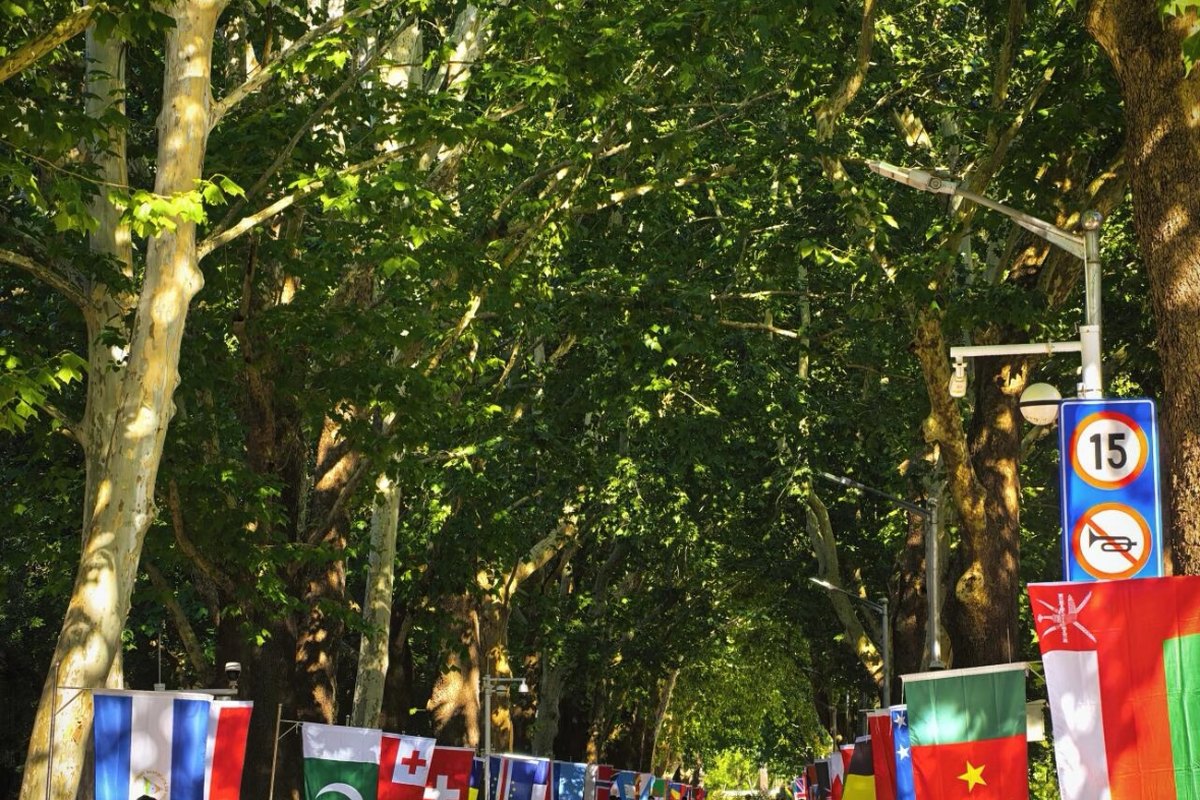 BLCU international avenue
